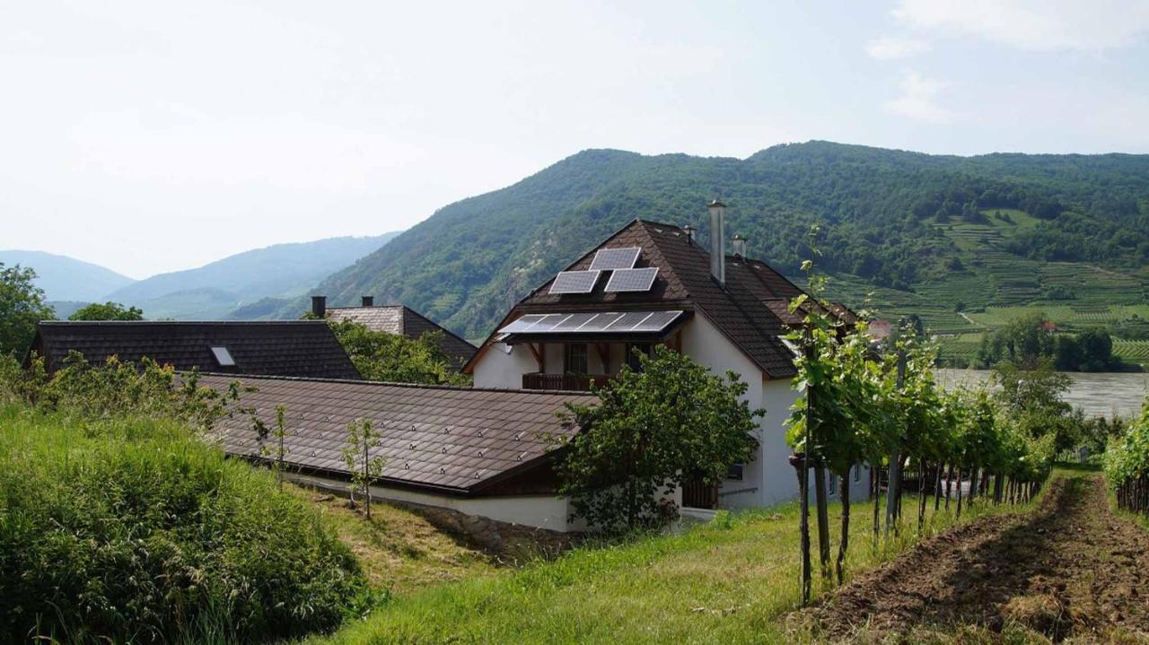 Weingut & Gaestezimmer Pammer Mitterarnsdorf Bagian luar foto