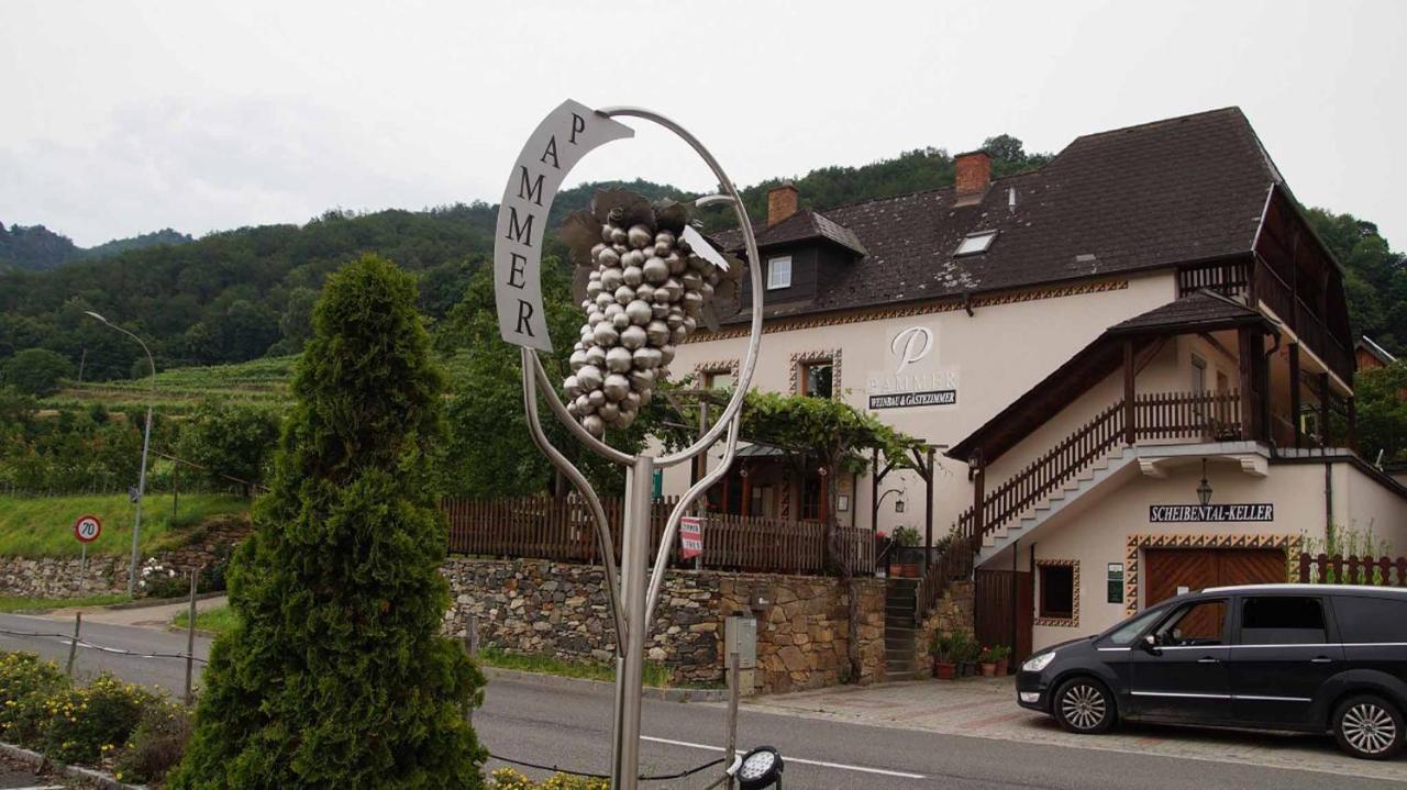 Weingut & Gaestezimmer Pammer Mitterarnsdorf Bagian luar foto
