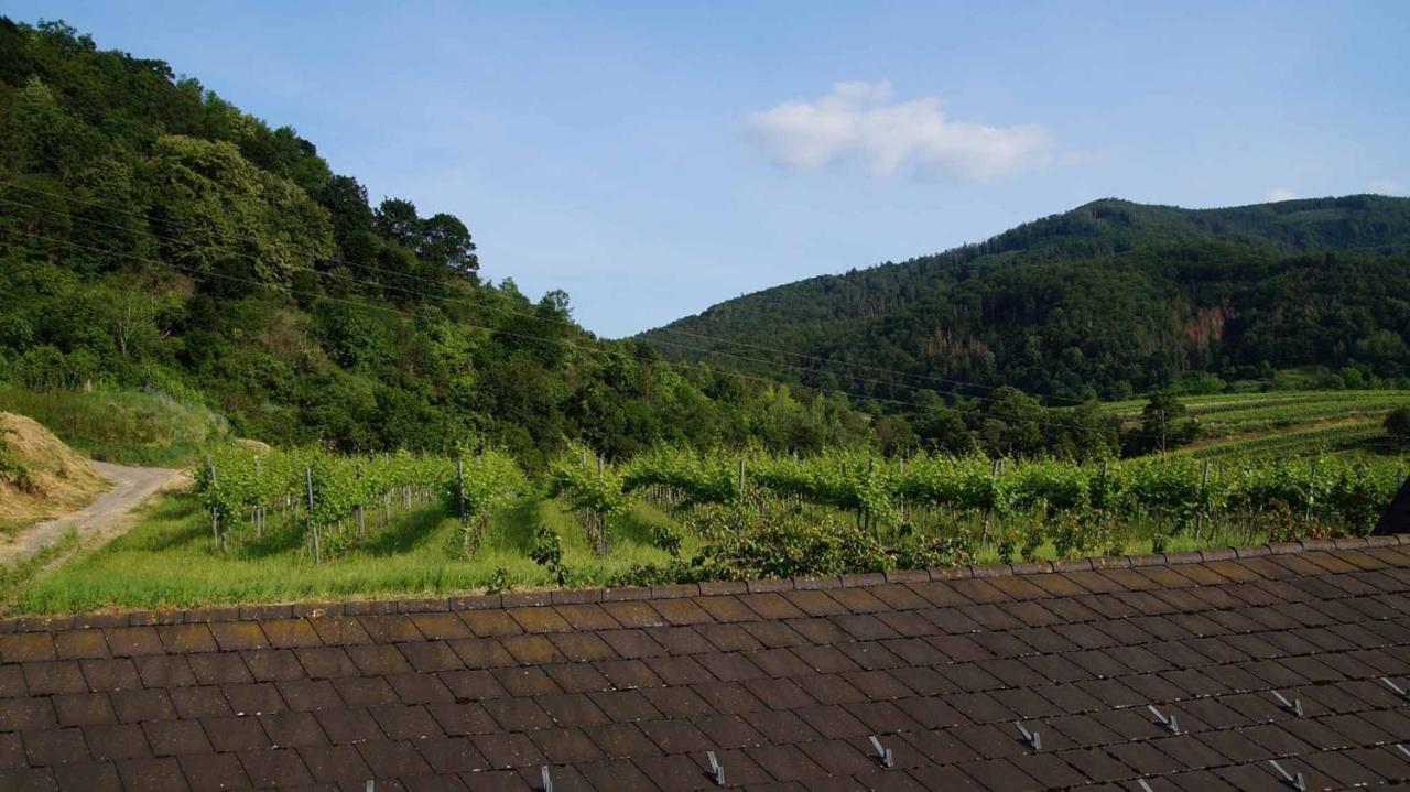 Weingut & Gaestezimmer Pammer Mitterarnsdorf Bagian luar foto