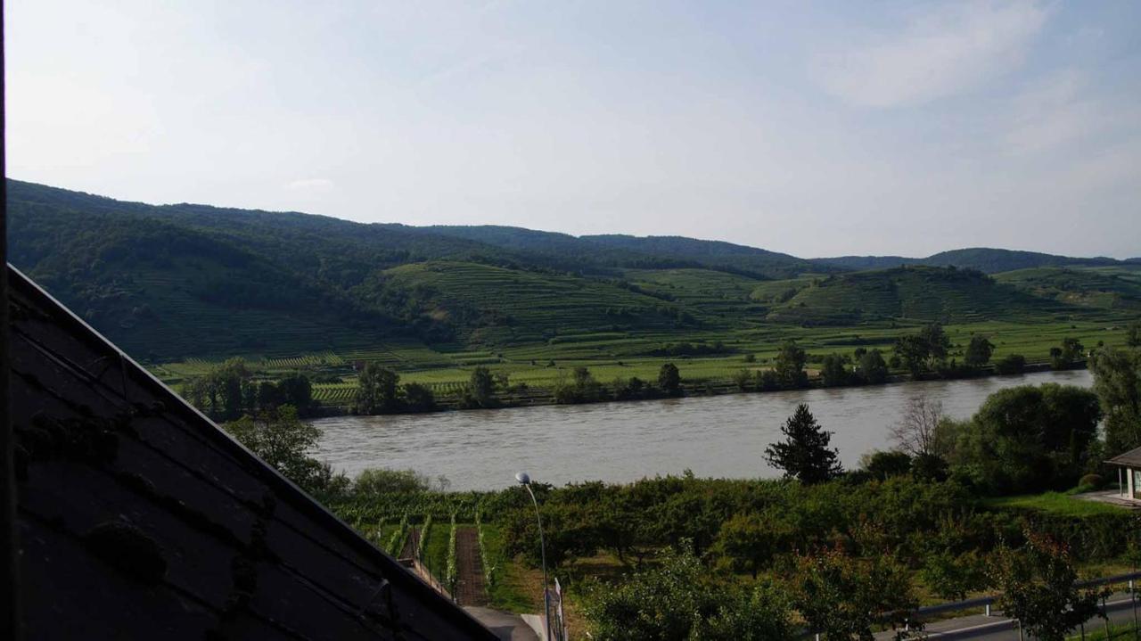 Weingut & Gaestezimmer Pammer Mitterarnsdorf Bagian luar foto